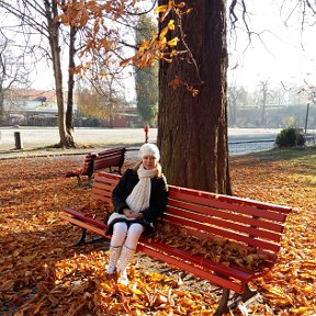 Фотография "Берлинская осень)"