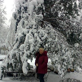 Фотография от ღஐИрина Бабичღஐ