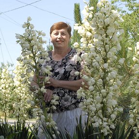 Фотография от Нина Лысенко