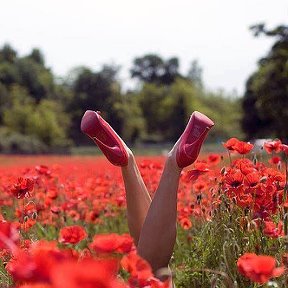 Фотография от Анжелика Гулевич