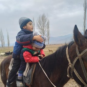 Фотография от Талгат Джабаев