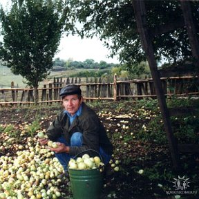 Фотография от Петр Гуртовой