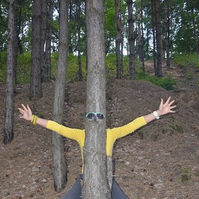 Фотография "А ЗА ДЕРЕВОМ ДЕРЕВО !!!"