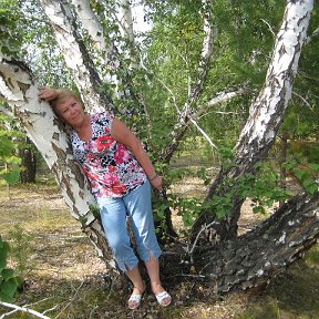 Фотография "Завьялиха родные березки которых нет на Кубани"