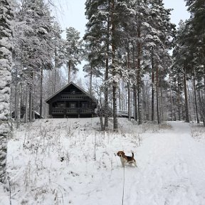 Фотография от Александр Желтухин