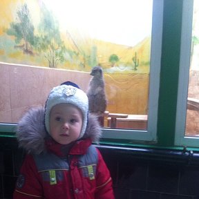 Фотография "Сынуля в зоопарке."