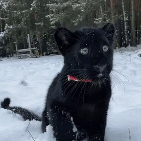 Фотография от Юрий Учайкин