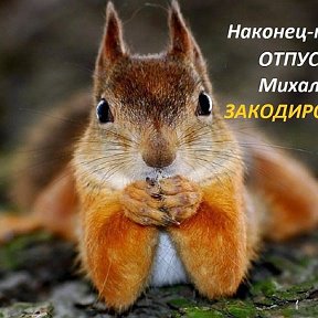 Фотография от Олег Овечкин