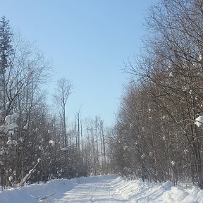 Фотография от ЛДПР Тасеево