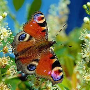 Фотография от Марина Александровна