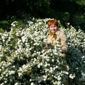 Фотография от Ирина Шевцова (Середа)