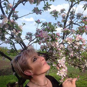 Фотография "Скоро опять весна  и для этого времени года --своя природная красота 👍"