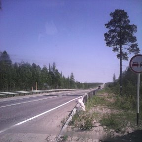 Фотография "Дорога на Ноябрьск"