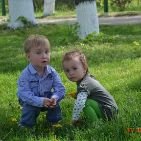 Фотография "culegem papadii pentru bunica."