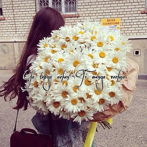 Фотография "Не важно какие цветы, главное от кого они-)"