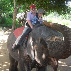 Фотография "сейсас покормим цейлонского слона апрель 2011"