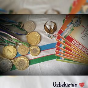 Фотография "My medals and diploms♥"