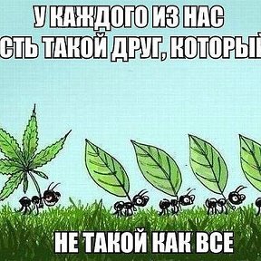 Фотография от Ислам 👊