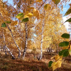 Фотография от Вышел Из системы