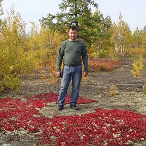 Фотография от Юрий Алексеевич