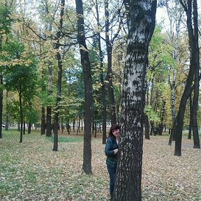 Фотография "Осень в Рязани"