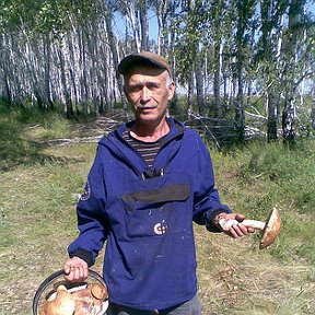 Фотография "вот такие у нас грибы в Казахстане"