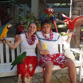 Фотография "Это мы на Гавайях среди попугаев."