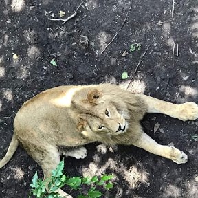 Фотография от Сергей Погодин