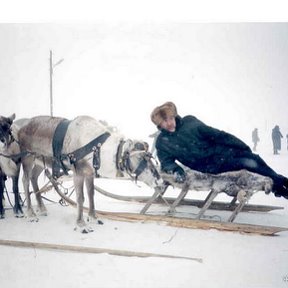 Фотография "А олени лучше."