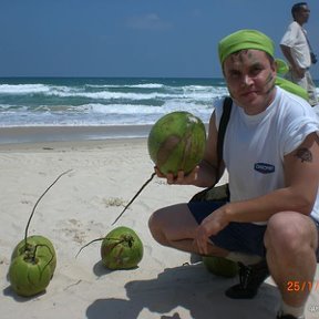 Фотография "Так вот, ребята, какие кокосы на Экваторе растут..."