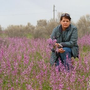 Фотография от Марина Чумакова(Вьюнова)