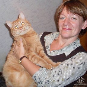 Фотография "я и кот Бамсик, 2009"