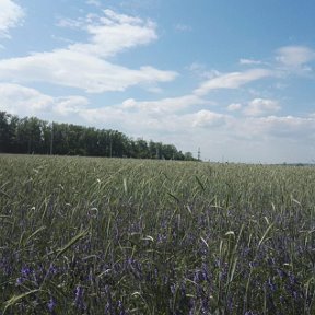 Фотография от Дмитрий Журавлев