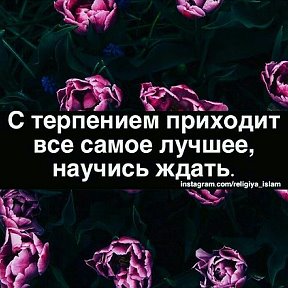 Фотография от 🌸🌸🌸 A