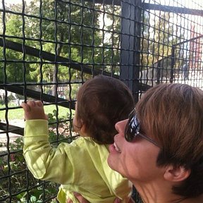 Фотография "И что там увидел Медвежонок младший? А может, кого?))) Семейство Медведей в Зоопарке! 14 сентябя 2012 года"