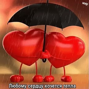 Фотография от Ирина Глебова (Чулкова)