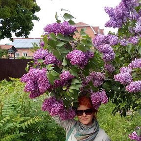 Фотография от Венера Журавлева