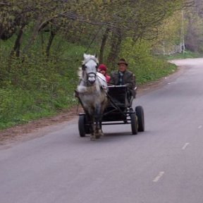 Фотография "В пути..."