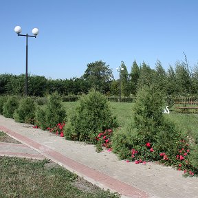 Фотография от Коломыцевское сельское поселение