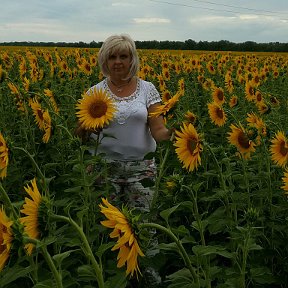 Фотография от Алла Толкунова