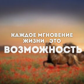 Фотография от Михаил Литвак