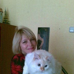 Фотография "Я и кот Тиша."