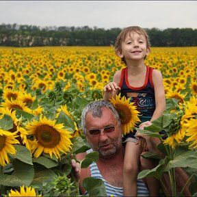 Фотография "в подсолнухах."