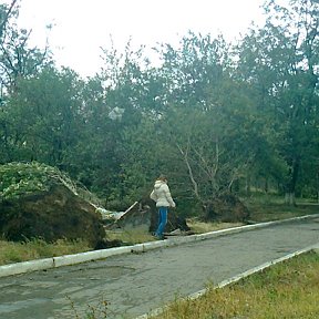 Фотография от Алиса Пирогова