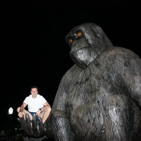 Фотография "Говорят в Бразилии очень много диких обезьян!! Вот и я одну особь встретил!!!"