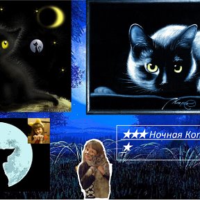 Фотография от ★ ★ ★ Ночная Котейка ★ ★ ★