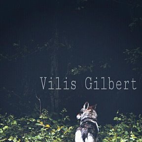 Фотография от ∴Vilis ∽ Gilbert∴ CREDO Werner