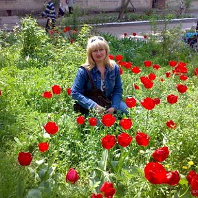 Фотография "Бердянск,май2008.Тюльпаны"