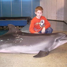 Фотография "В дельфинарии. 2009 год"