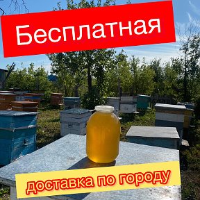 Фотография от Натуральный мёд Пасека Гильмутдиновых